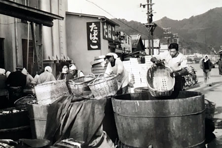 岩手・釜石のイカに特化した冷凍食材・製造販売 株式会社井戸商店/事業開始