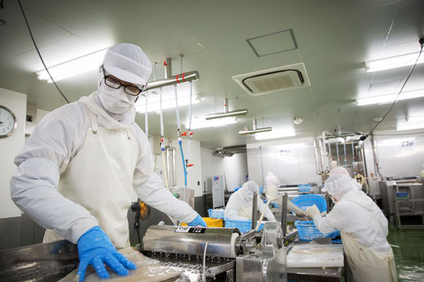 岩手・釜石のイカに特化した冷凍食材・製造販売 株式会社井戸商店/作業風景